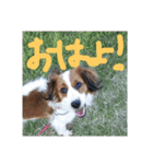 嵐夢(らいむ)の日常（個別スタンプ：7）