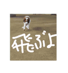 嵐夢(らいむ)の日常（個別スタンプ：9）