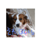 嵐夢(らいむ)の日常（個別スタンプ：13）