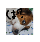 嵐夢(らいむ)の日常（個別スタンプ：14）