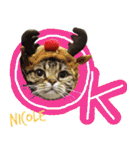ねこズ_愛する ねこ達（個別スタンプ：1）