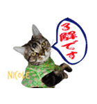 ねこズ_愛する ねこ達（個別スタンプ：2）