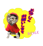 ねこズ_愛する ねこ達（個別スタンプ：4）