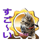 ねこズ_愛する ねこ達（個別スタンプ：15）