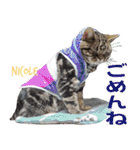 ねこズ_愛する ねこ達（個別スタンプ：21）