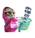 ねこズ_愛する ねこ達（個別スタンプ：25）