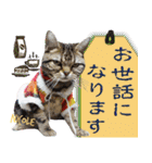 ねこズ_愛する ねこ達（個別スタンプ：29）
