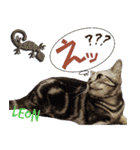 ねこズ_愛する ねこ達（個別スタンプ：31）