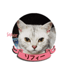 ねこズ_愛する ねこ達（個別スタンプ：39）