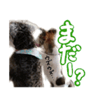 マフィンとAPKの仲間たち（個別スタンプ：2）