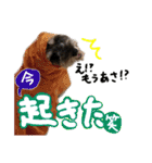 マフィンとAPKの仲間たち（個別スタンプ：16）