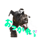 マフィンとAPKの仲間たち（個別スタンプ：20）