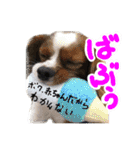 マフィンとAPKの仲間たち（個別スタンプ：27）