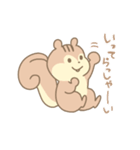 りすのスタンプ（個別スタンプ：4）
