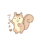 りすのスタンプ（個別スタンプ：8）