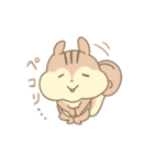 りすのスタンプ（個別スタンプ：24）