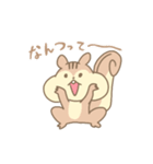 りすのスタンプ（個別スタンプ：29）