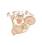 りすのスタンプ（個別スタンプ：34）