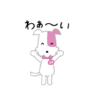 KCN京都ぶるちゃんスタンプ（個別スタンプ：1）