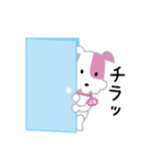 KCN京都ぶるちゃんスタンプ（個別スタンプ：13）