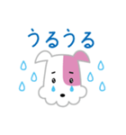 KCN京都ぶるちゃんスタンプ（個別スタンプ：18）