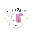 KCN京都ぶるちゃんスタンプ（個別スタンプ：24）