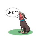 ミニピン のイラストです。（個別スタンプ：2）