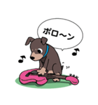 ミニピン のイラストです。（個別スタンプ：5）