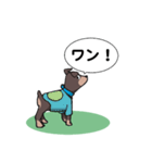 ミニピン のイラストです。（個別スタンプ：12）