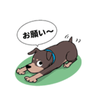 ミニピン のイラストです。（個別スタンプ：13）