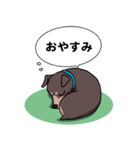 ミニピン のイラストです。（個別スタンプ：14）