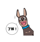 ミニピン のイラストです。（個別スタンプ：15）