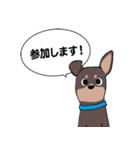 ミニピン のイラストです。（個別スタンプ：17）