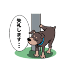 ミニピン のイラストです。（個別スタンプ：18）