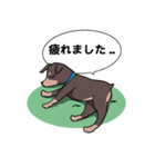 ミニピン のイラストです。（個別スタンプ：21）