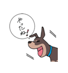 ミニピン のイラストです。（個別スタンプ：24）
