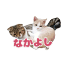 ひこ＆くー 2（個別スタンプ：1）