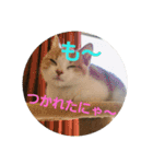 ひこ＆くー 2（個別スタンプ：6）