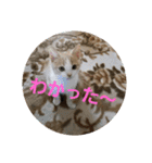 ひこ＆くー 2（個別スタンプ：13）