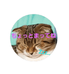 ひこ＆くー 2（個別スタンプ：14）