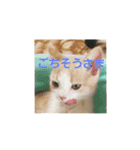ひこ＆くー 2（個別スタンプ：15）