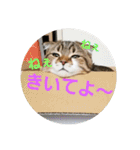 ひこ＆くー 2（個別スタンプ：17）