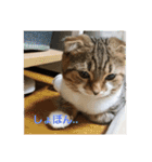 ひこ＆くー 2（個別スタンプ：20）