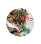 ひこ＆くー 2（個別スタンプ：22）