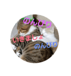 ひこ＆くー 2（個別スタンプ：24）