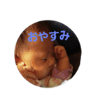 はづりんちゃん（個別スタンプ：3）