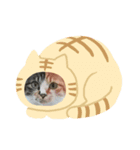 にゃんず(ΦωΦ)（個別スタンプ：1）