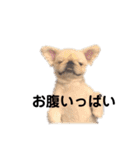 ブーフとティート（個別スタンプ：13）