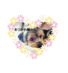 動物達のスタンプ！！！（個別スタンプ：2）
