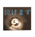 ミーくんは天使の輝き（個別スタンプ：1）